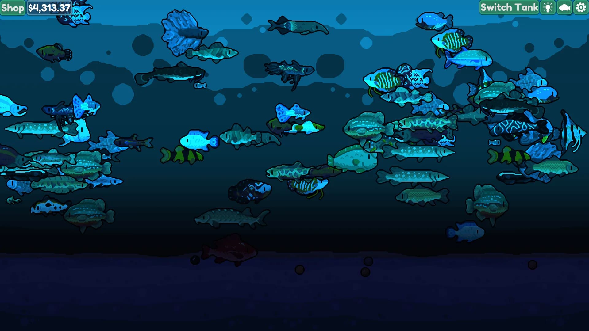 Chillquarium görsel 8