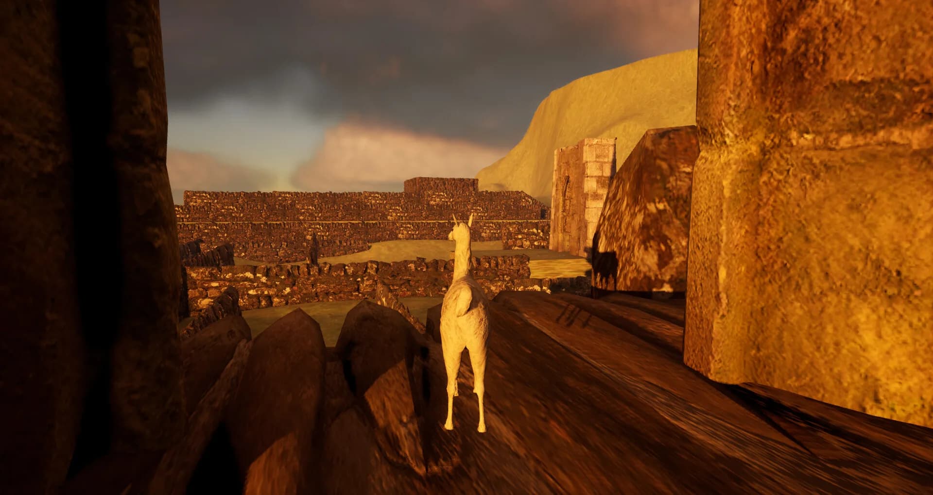 Mountain Alpaca görsel 4