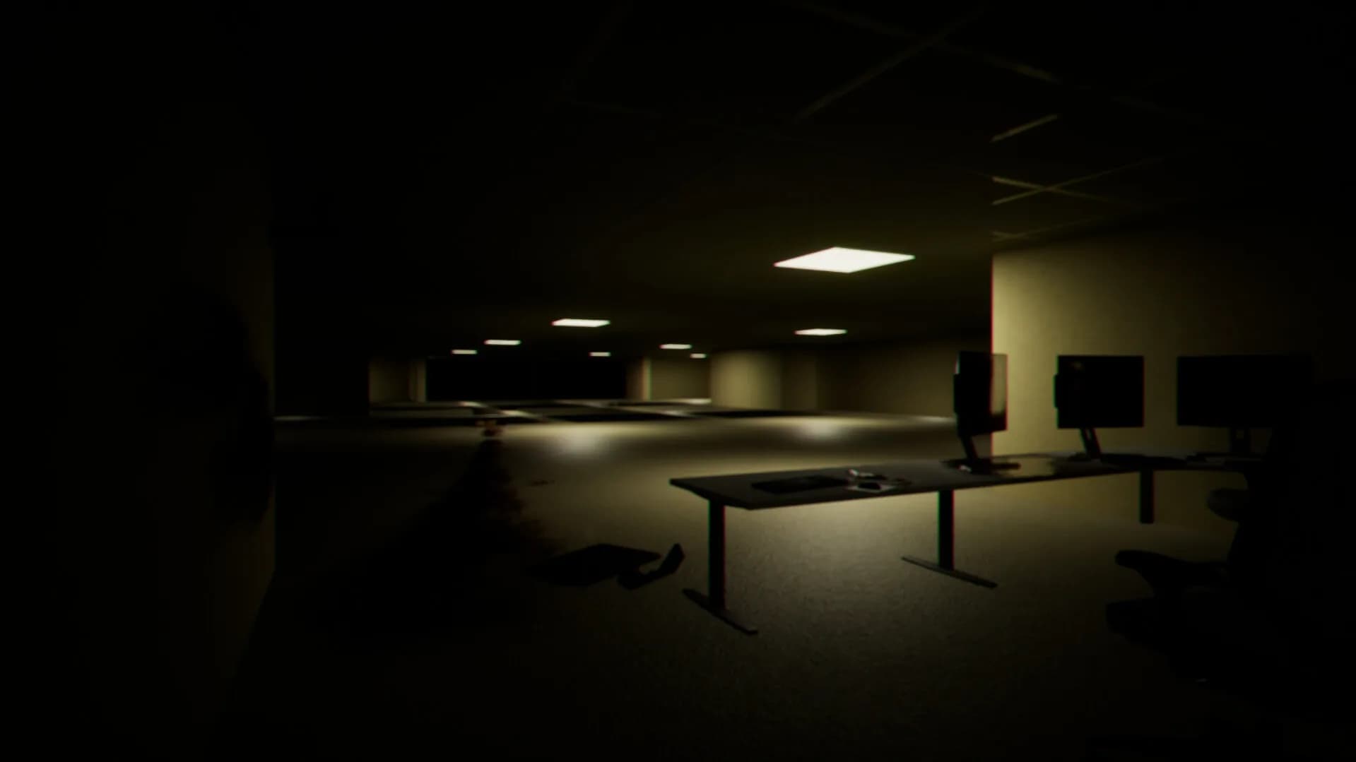 The Backrooms Experiment görsel 2