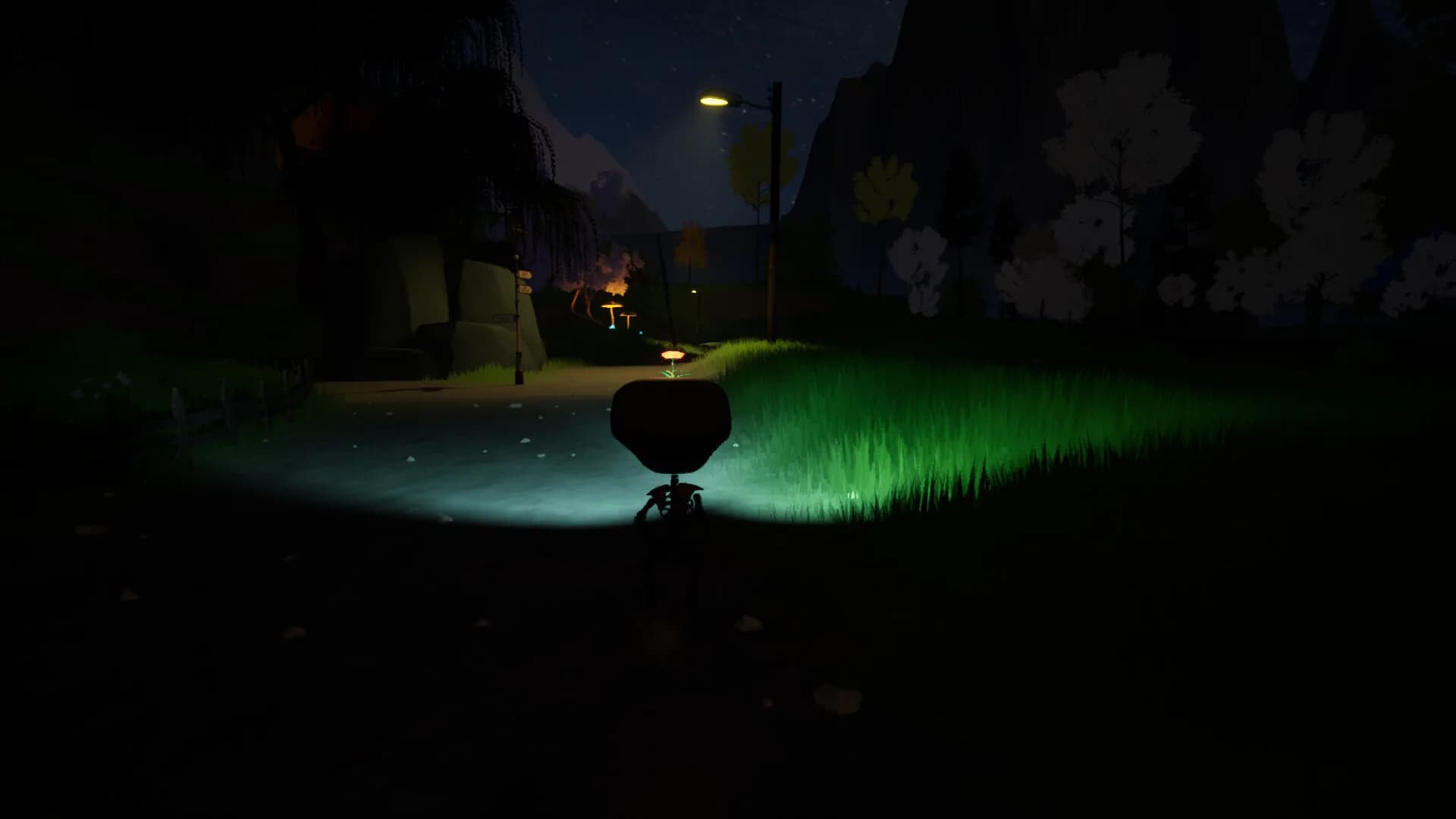 Liam_99 görsel 4