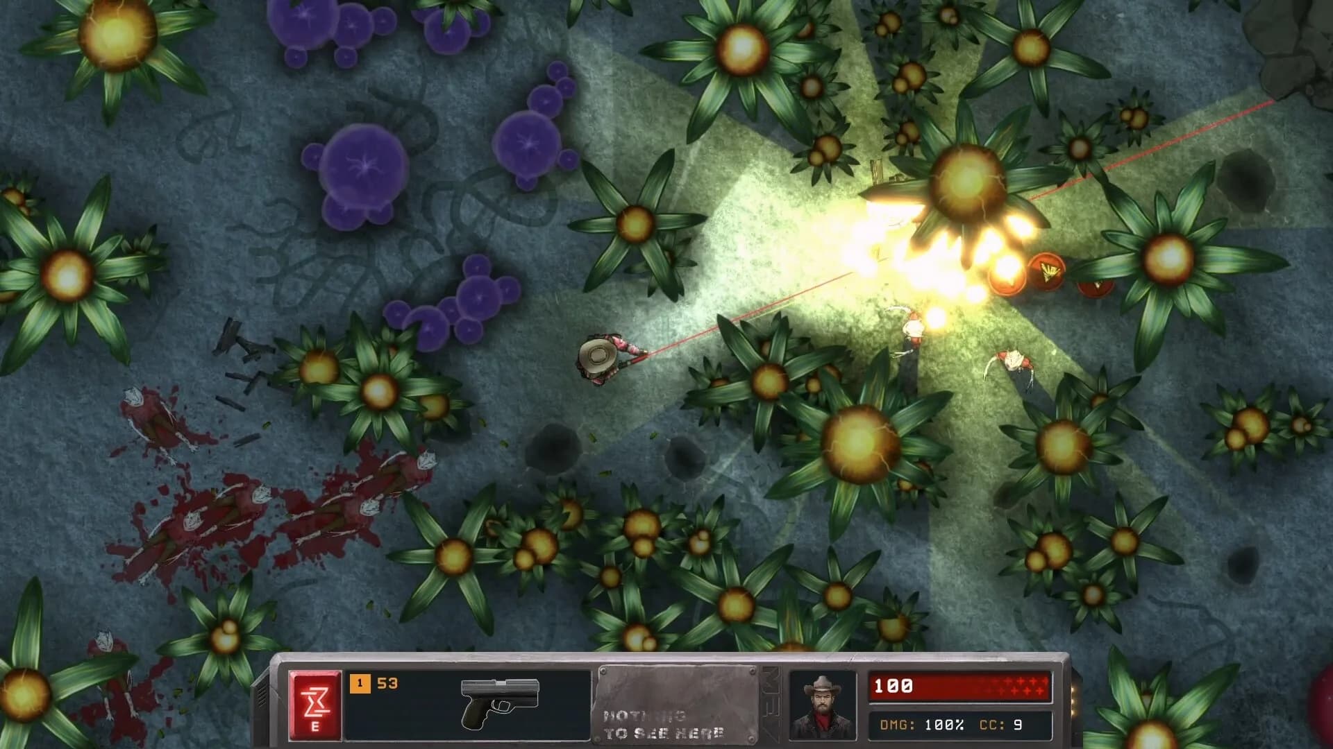 Son of a Gun görsel 2
