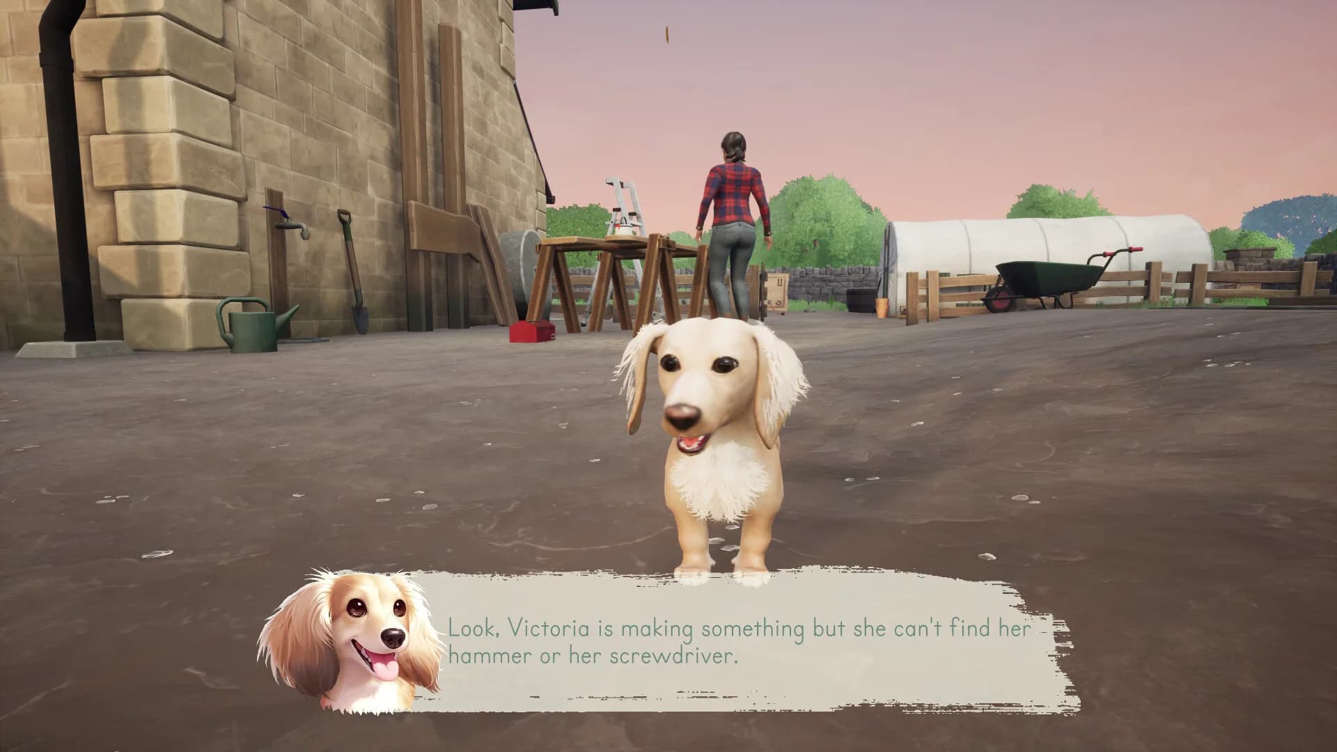 Walkies görsel 4