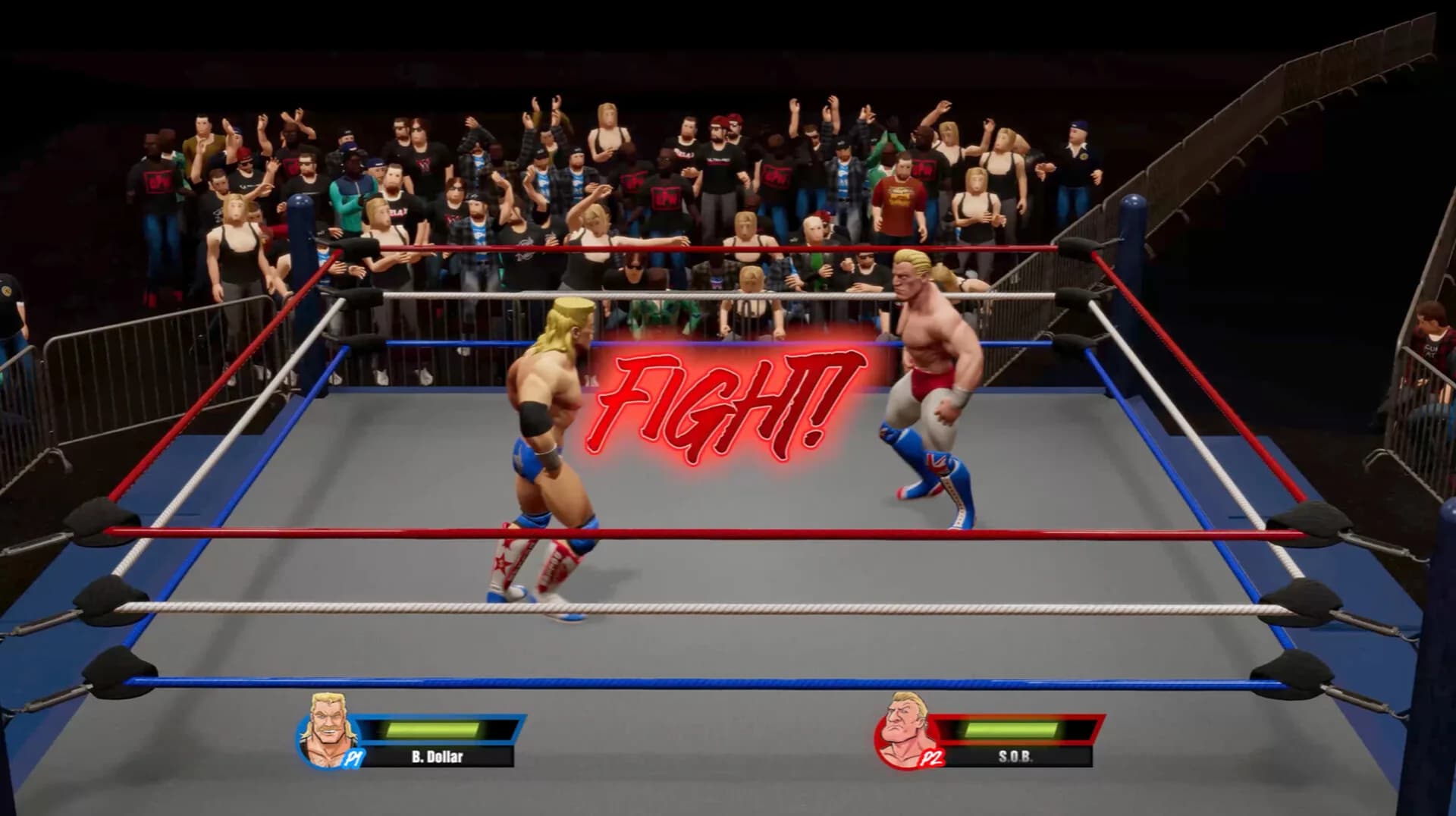 Ultra Pro Wrestling görsel 3