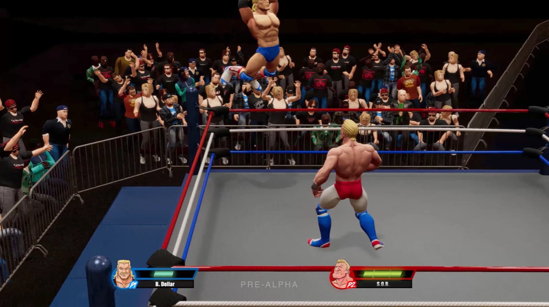 Ultra Pro Wrestling görsel 7