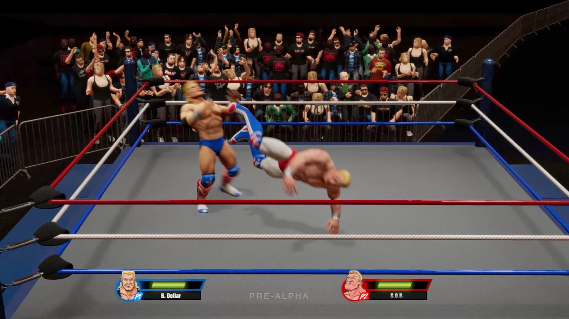 Ultra Pro Wrestling görsel 8