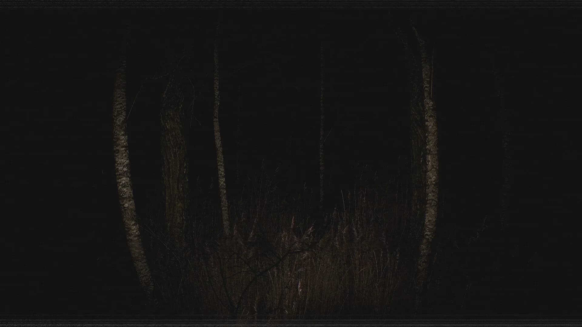 Paranormal VHS görsel 2