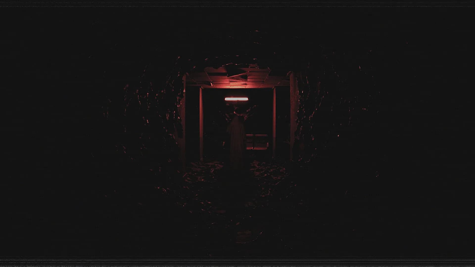 Paranormal VHS görsel 4