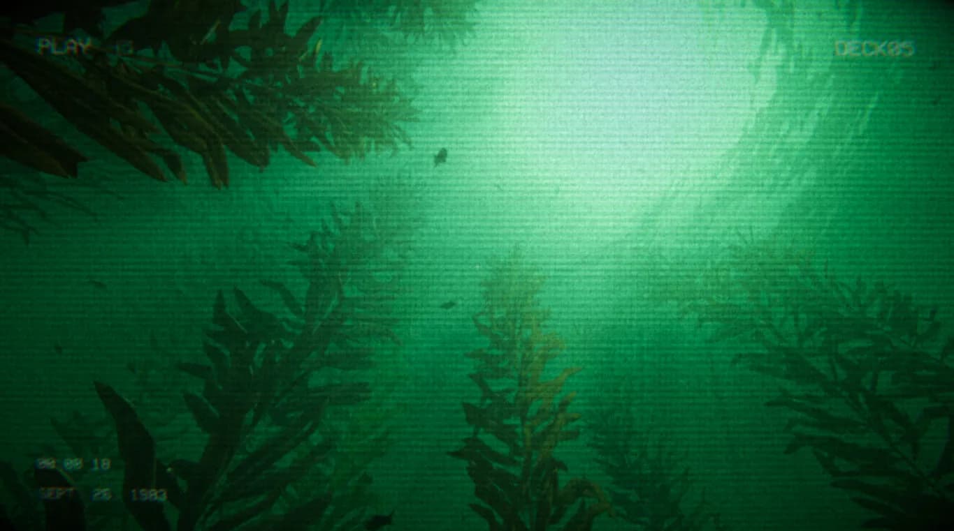 Full Fathom görsel 6