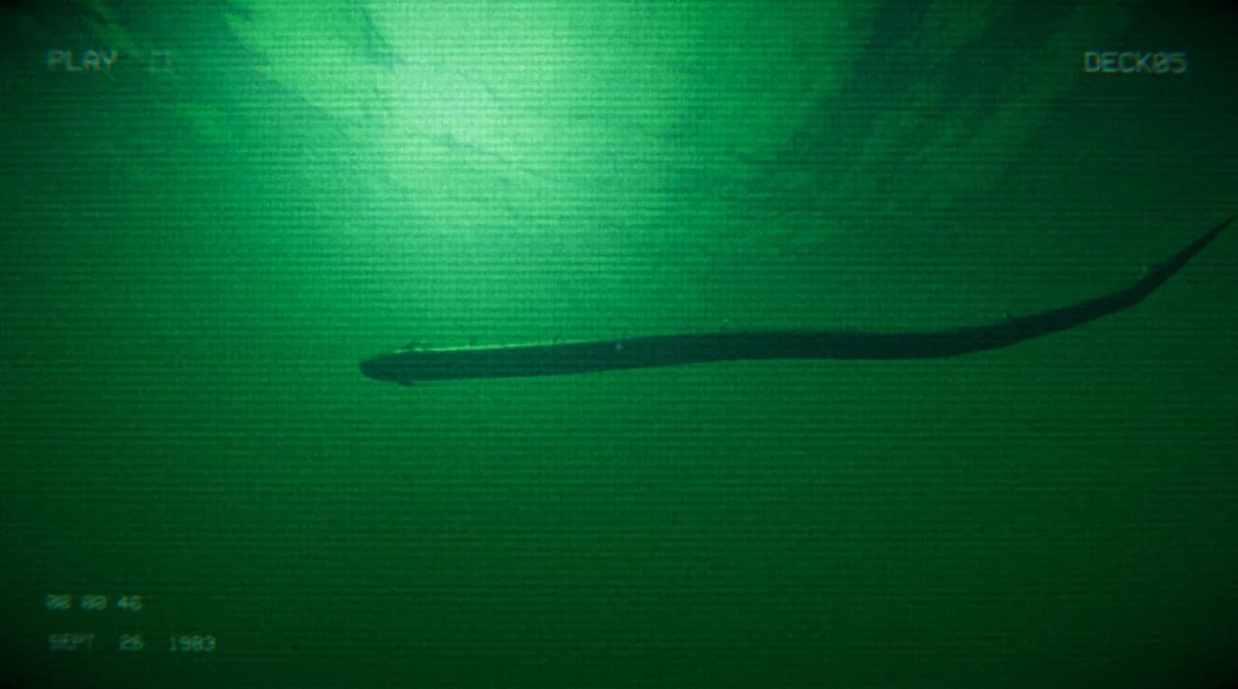 Full Fathom görsel 11