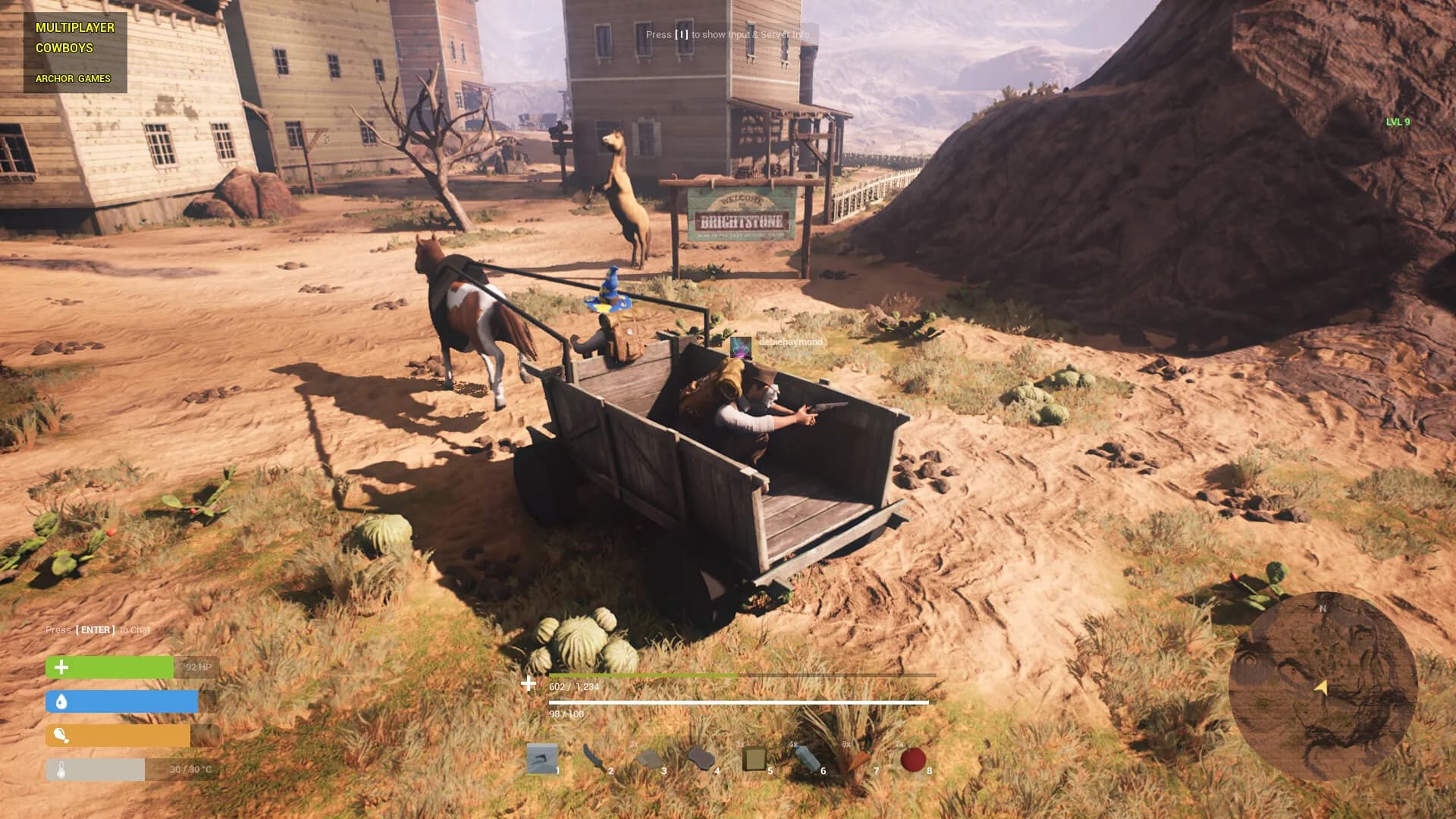 Multiplayer Cowboys görsel 6