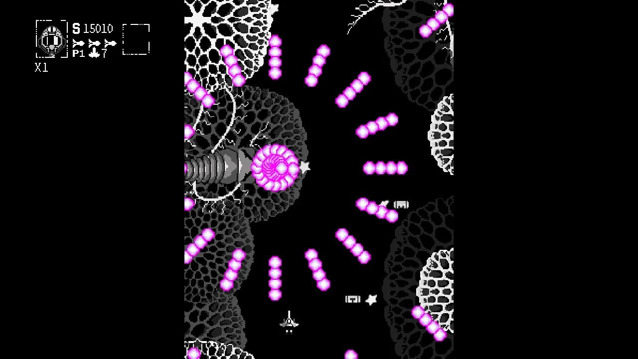 Hexapoda görsel 2