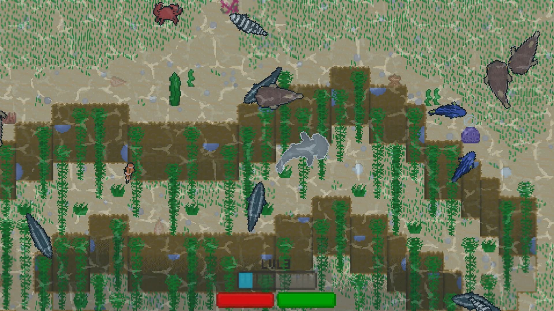 SharkKing görsel 3