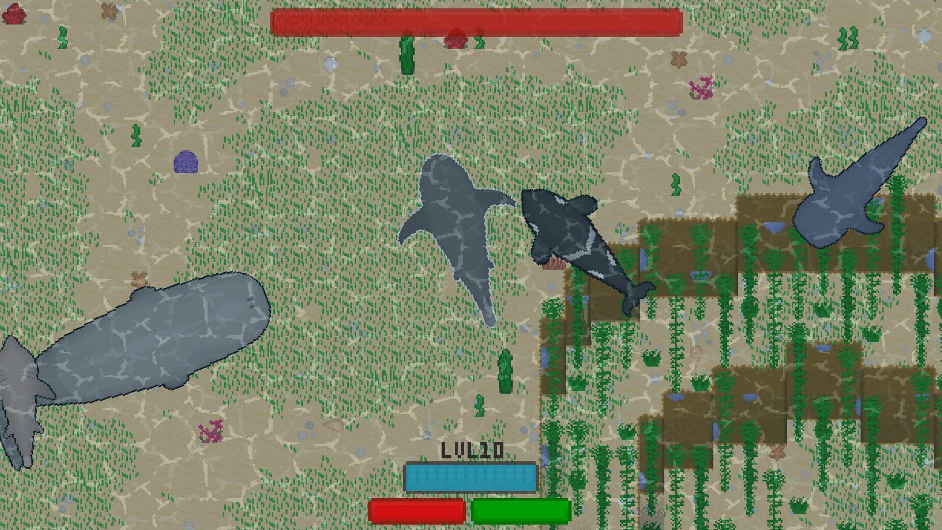 SharkKing görsel 6