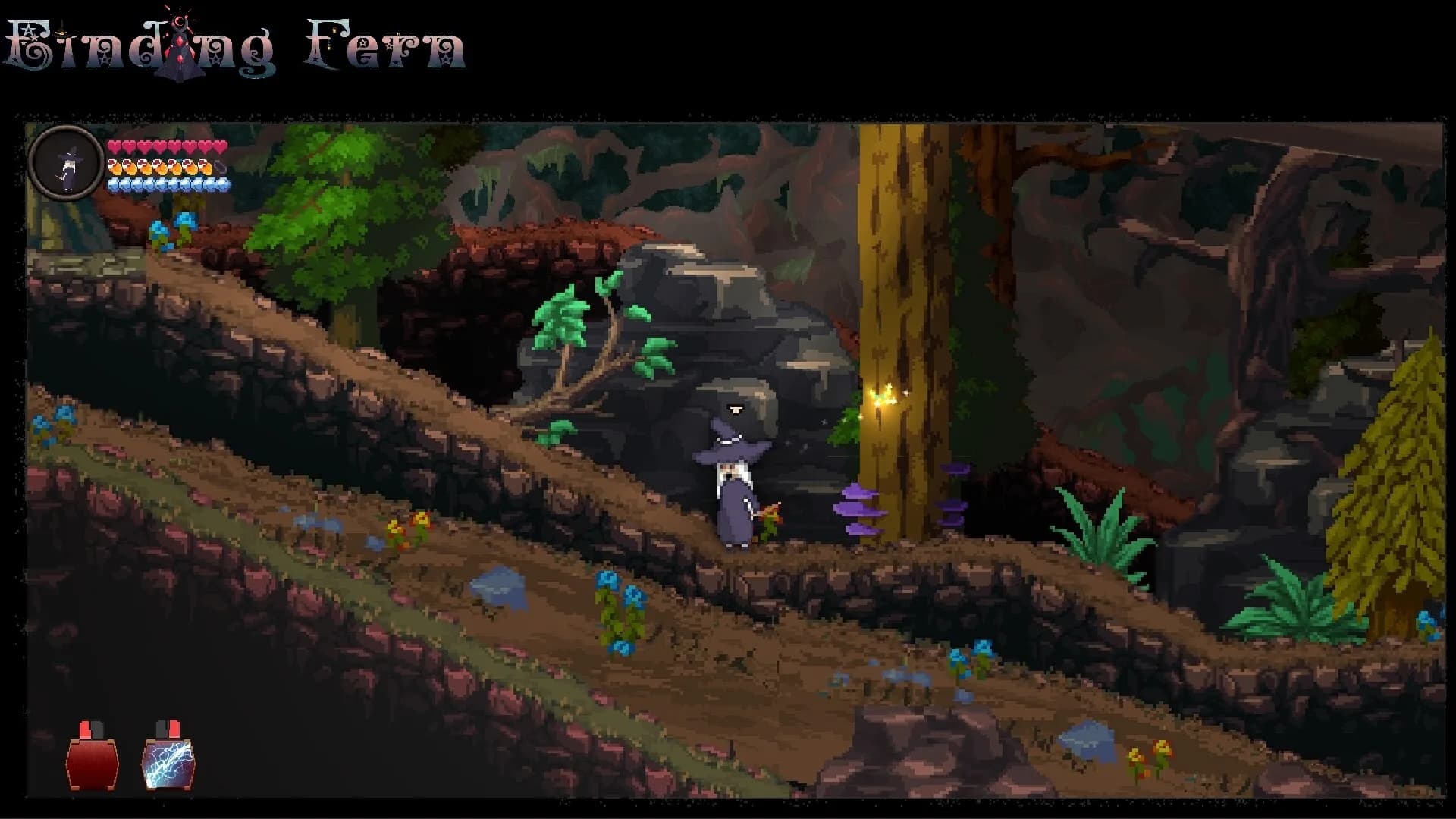 Finding Fern görsel 3