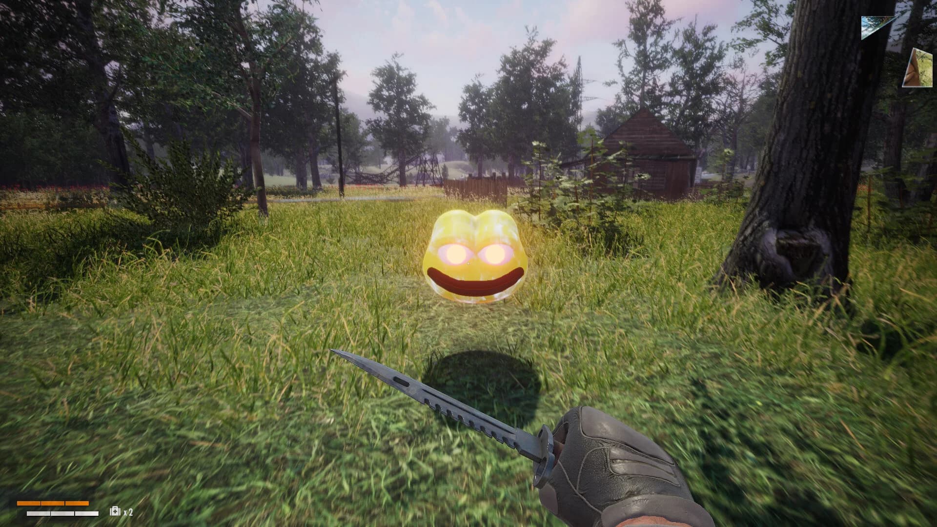 THE MEME HUNTER görsel 7