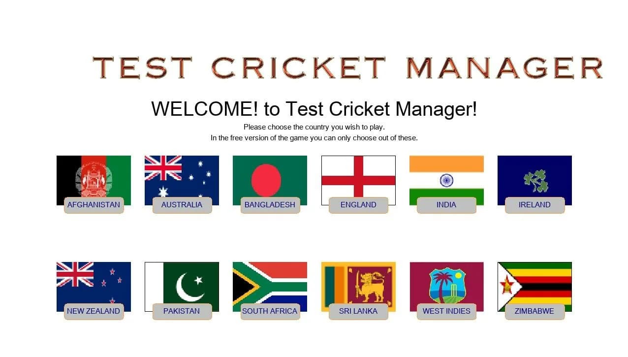Test Cricket Manager görsel 2