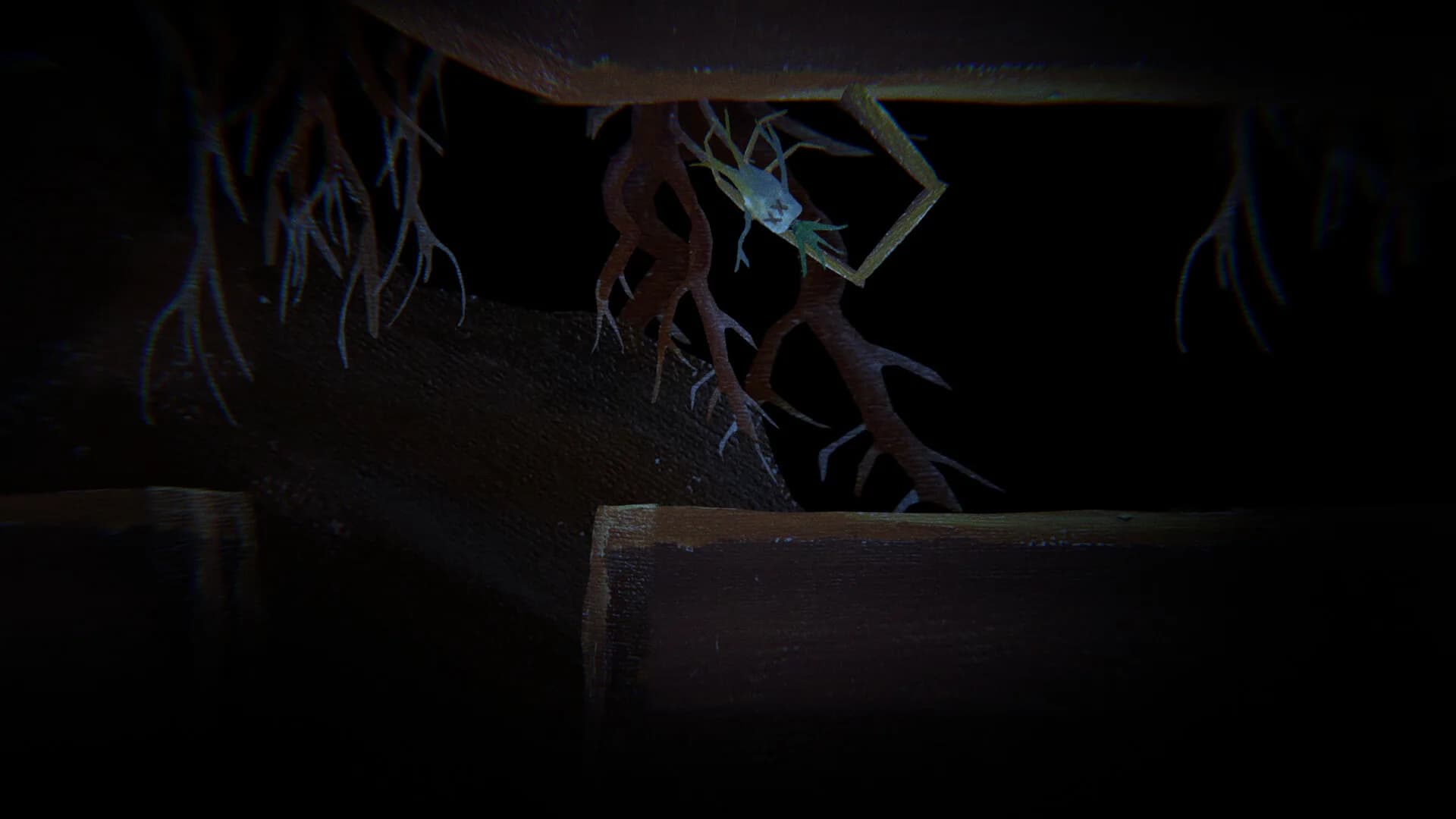 Root Connections görsel 8