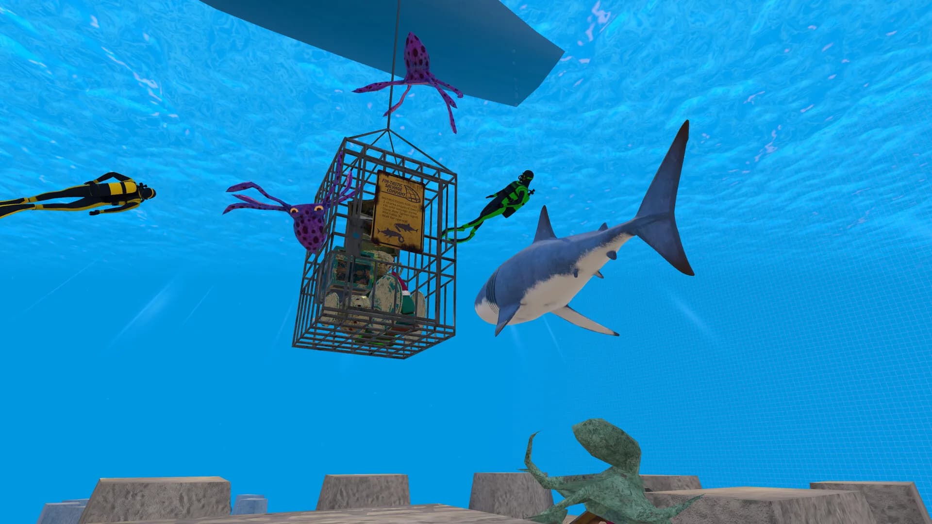 SHARKS görsel 2