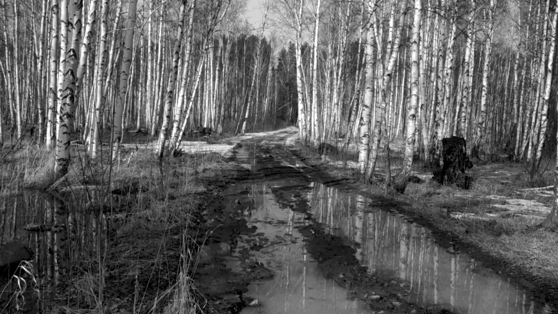 Russian Psychiatric Pastoral: Prologue görsel 5