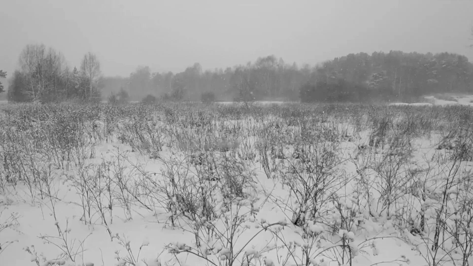 Russian Psychiatric Pastoral: Prologue görsel 9