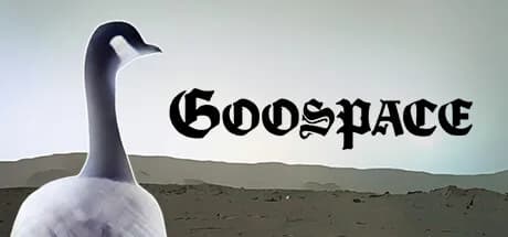 Goospace görsel 1