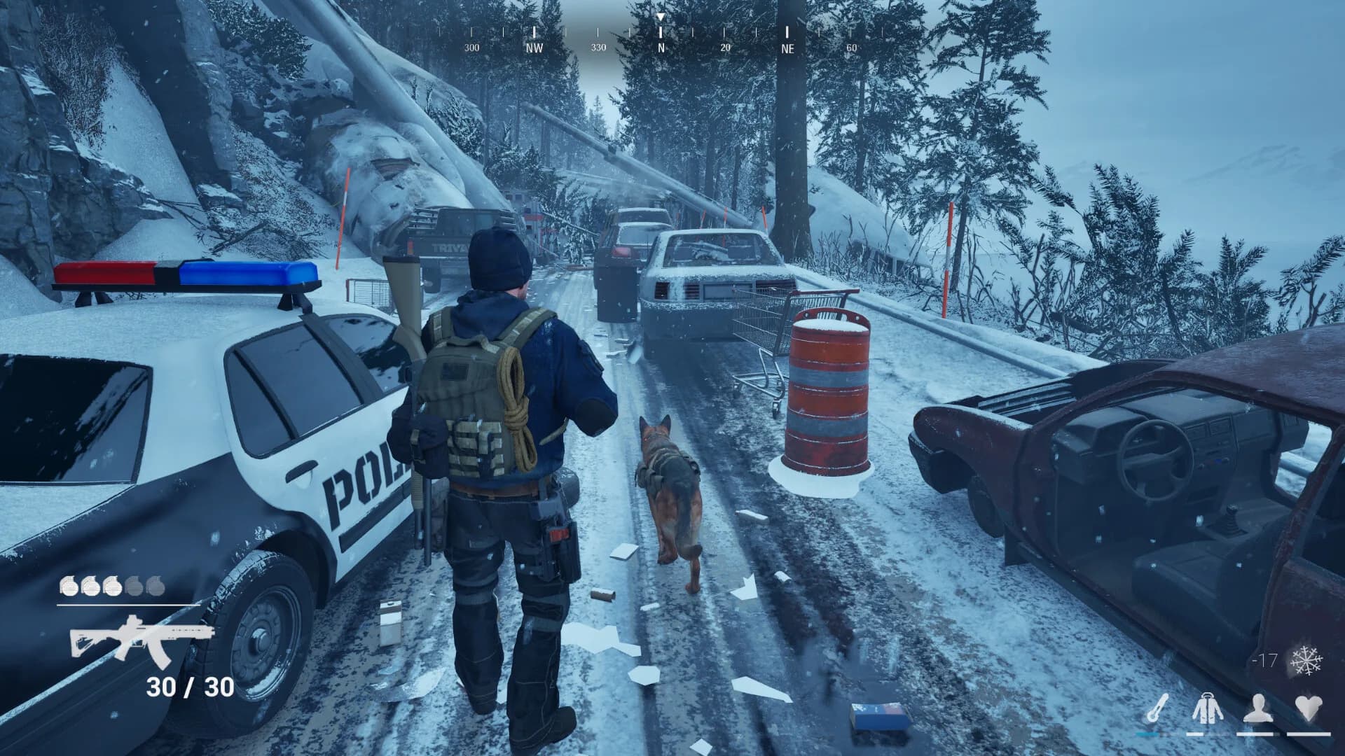 POSTFROST görsel 6
