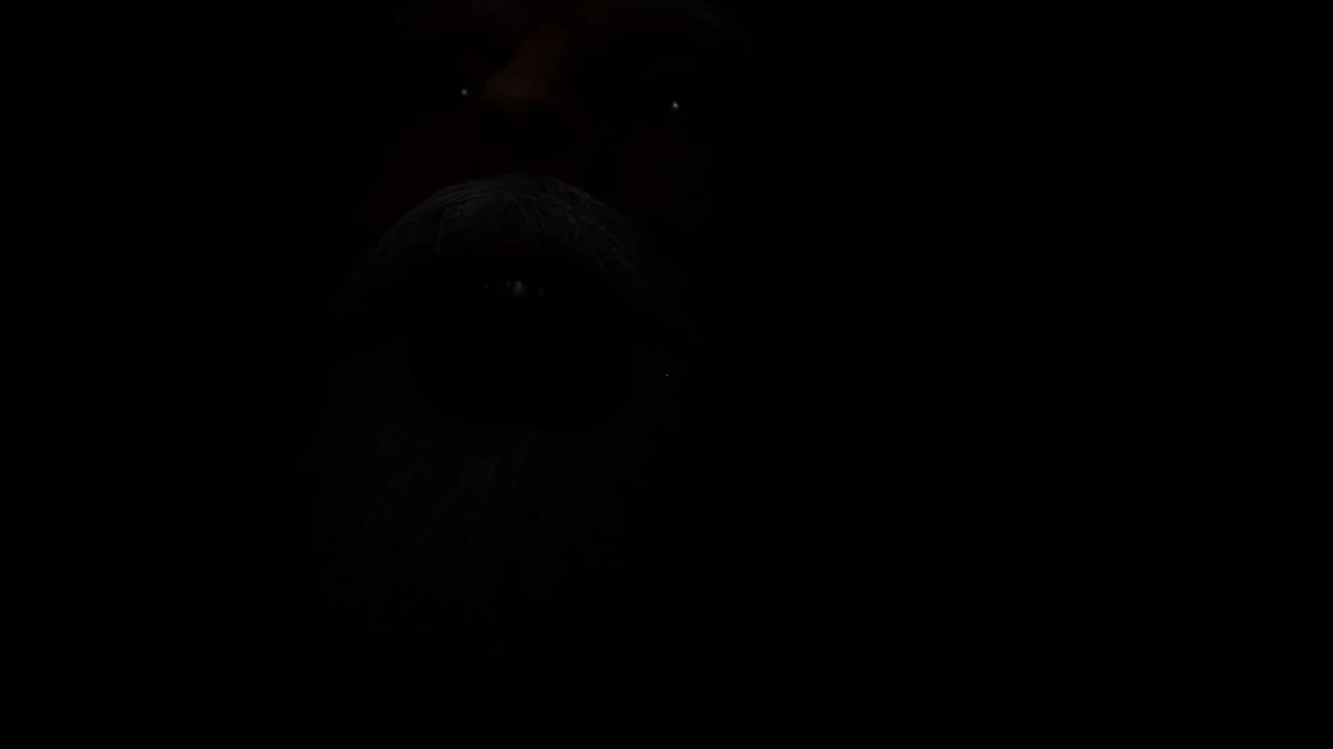 Santas Basement görsel 11
