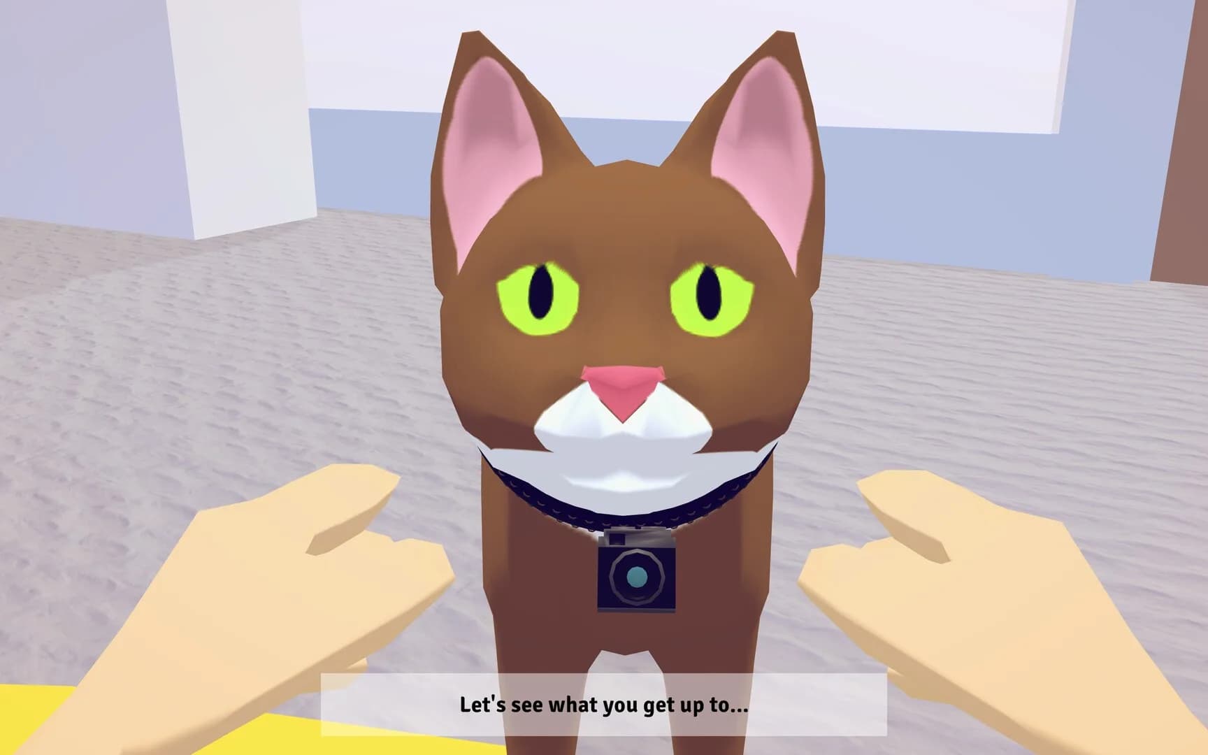 Point of Mew görsel 3