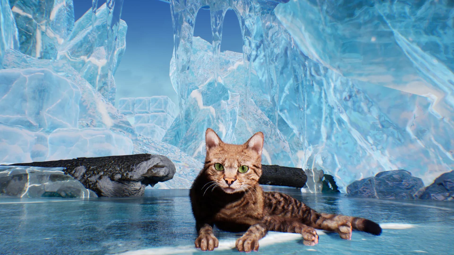 Super Cat Simulator görsel 5