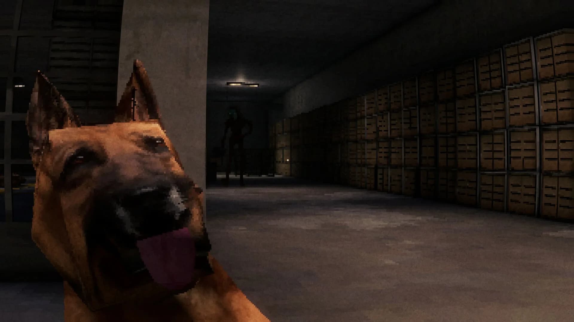 CANINE görsel 2