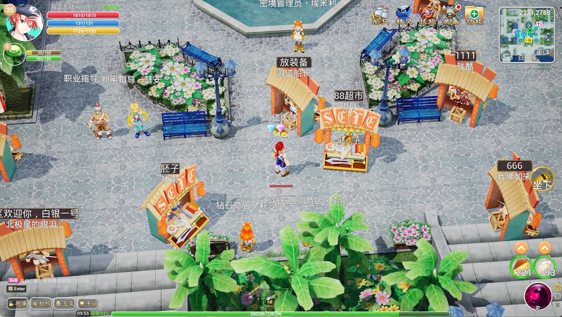 海盗纹章 görsel 2