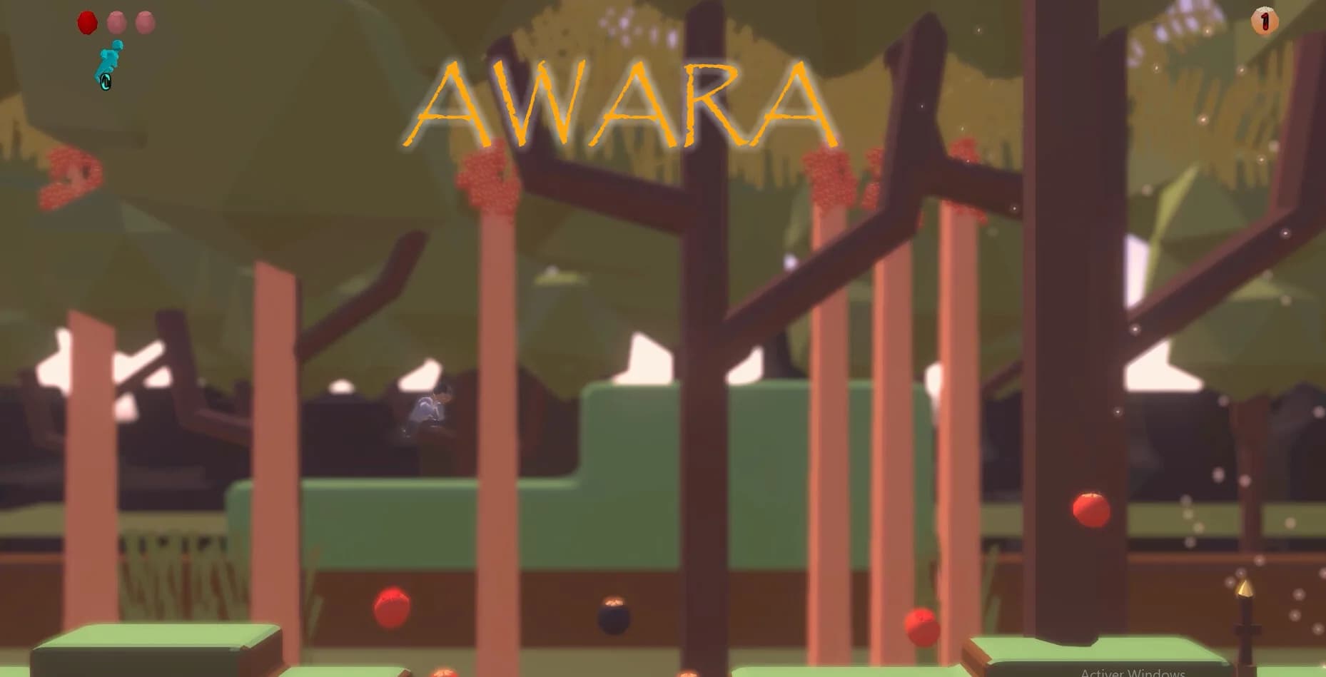 AWARA görsel 2