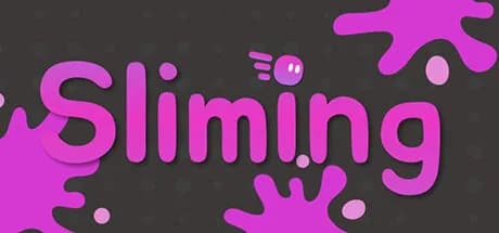 Sliming görsel 1