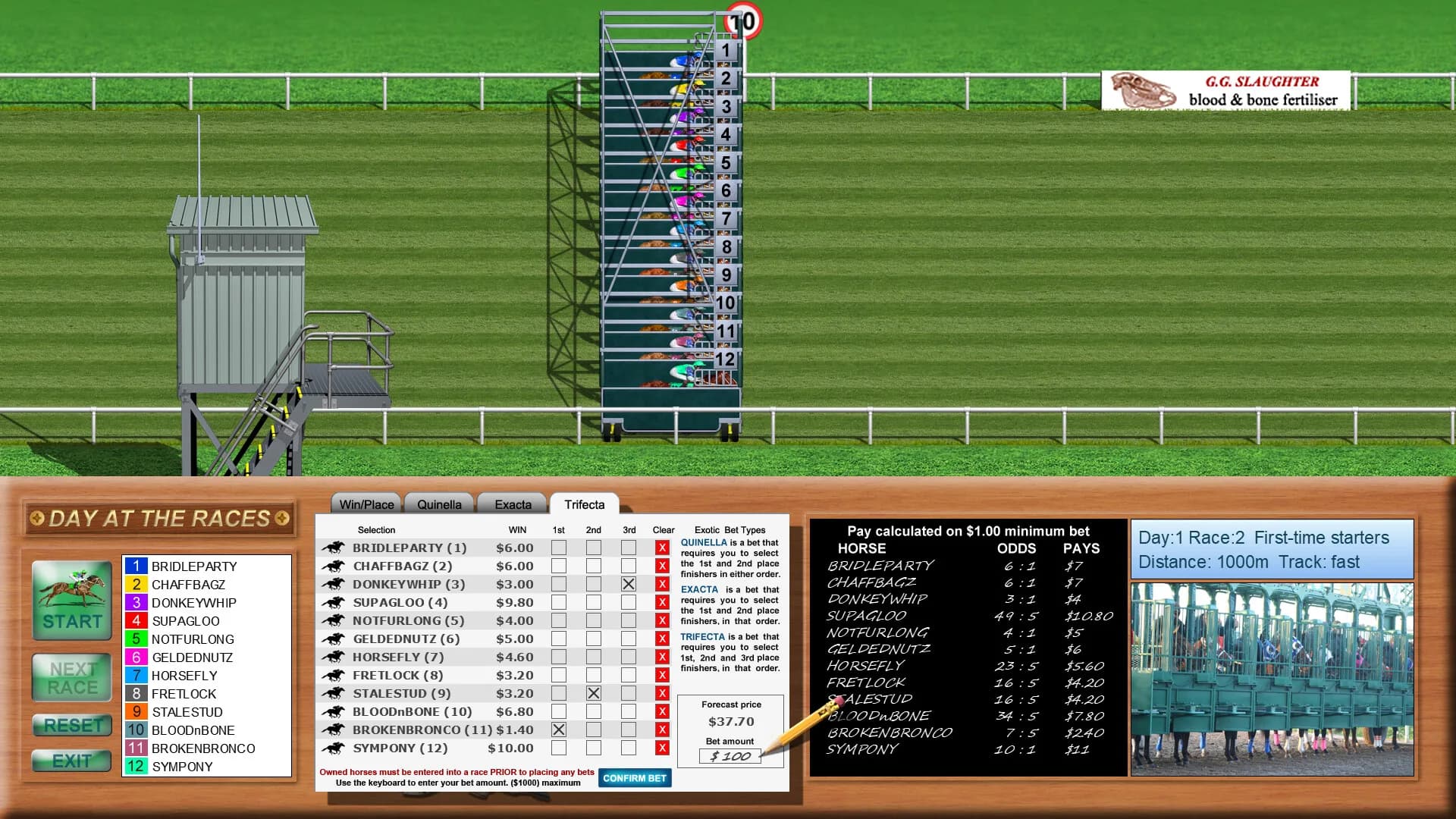 Day at the Races görsel 6