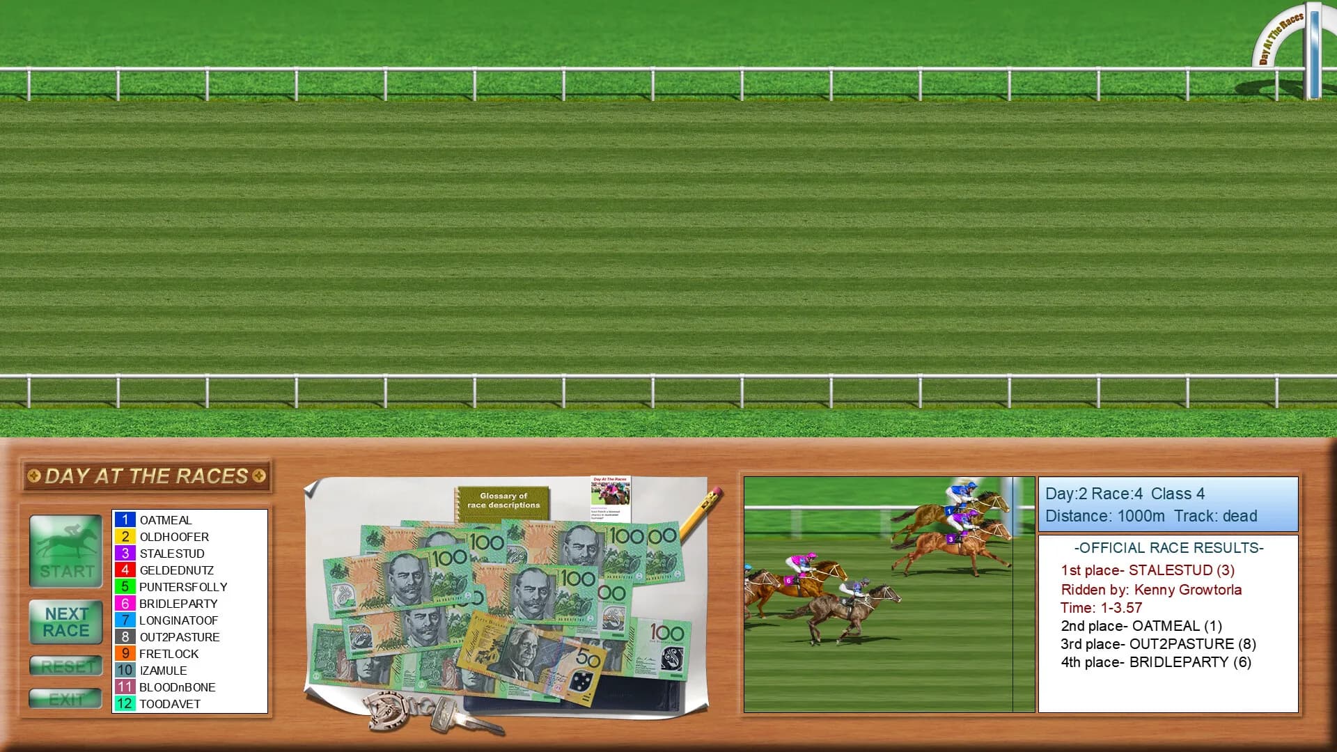 Day at the Races görsel 7