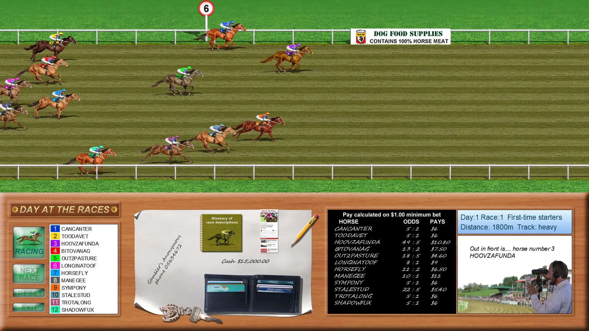 Day at the Races görsel 9