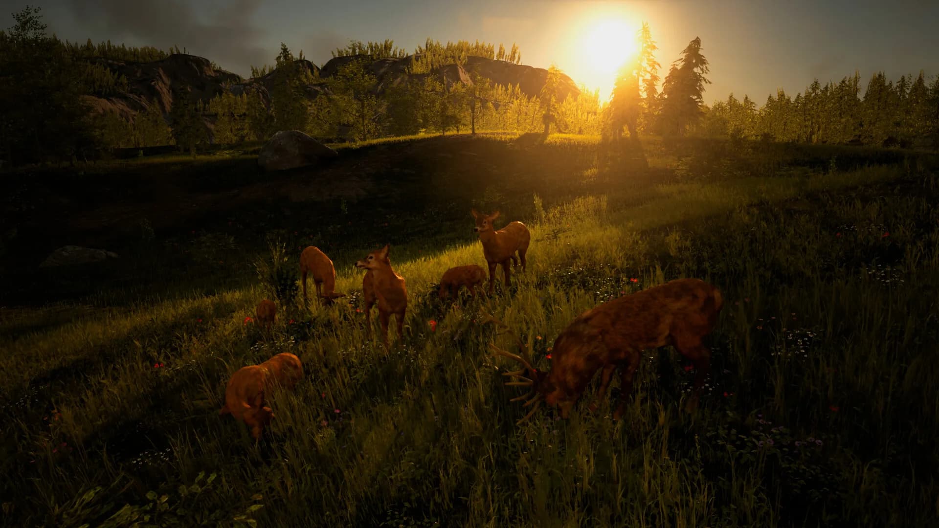Glory or Dominance - The World Of Kleiverog görsel 2