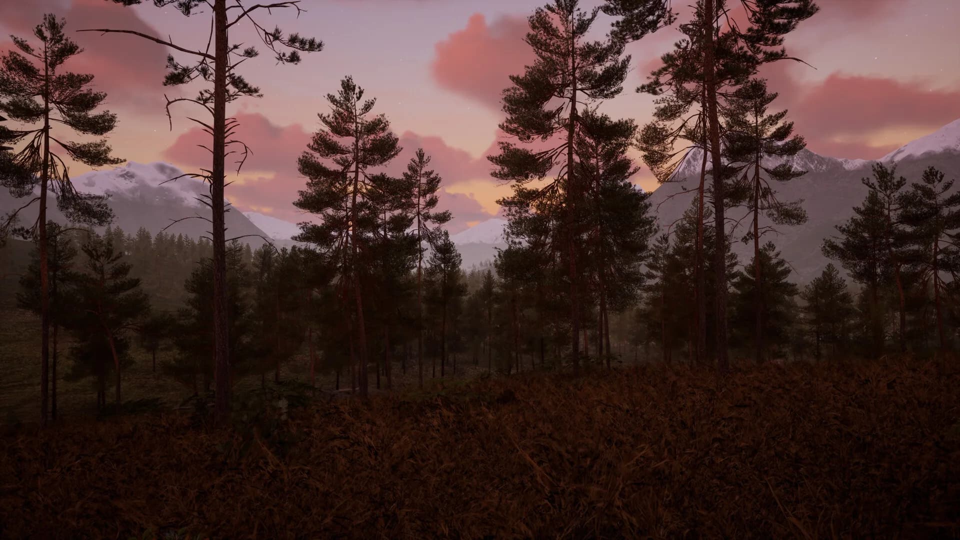 Start Over görsel 4