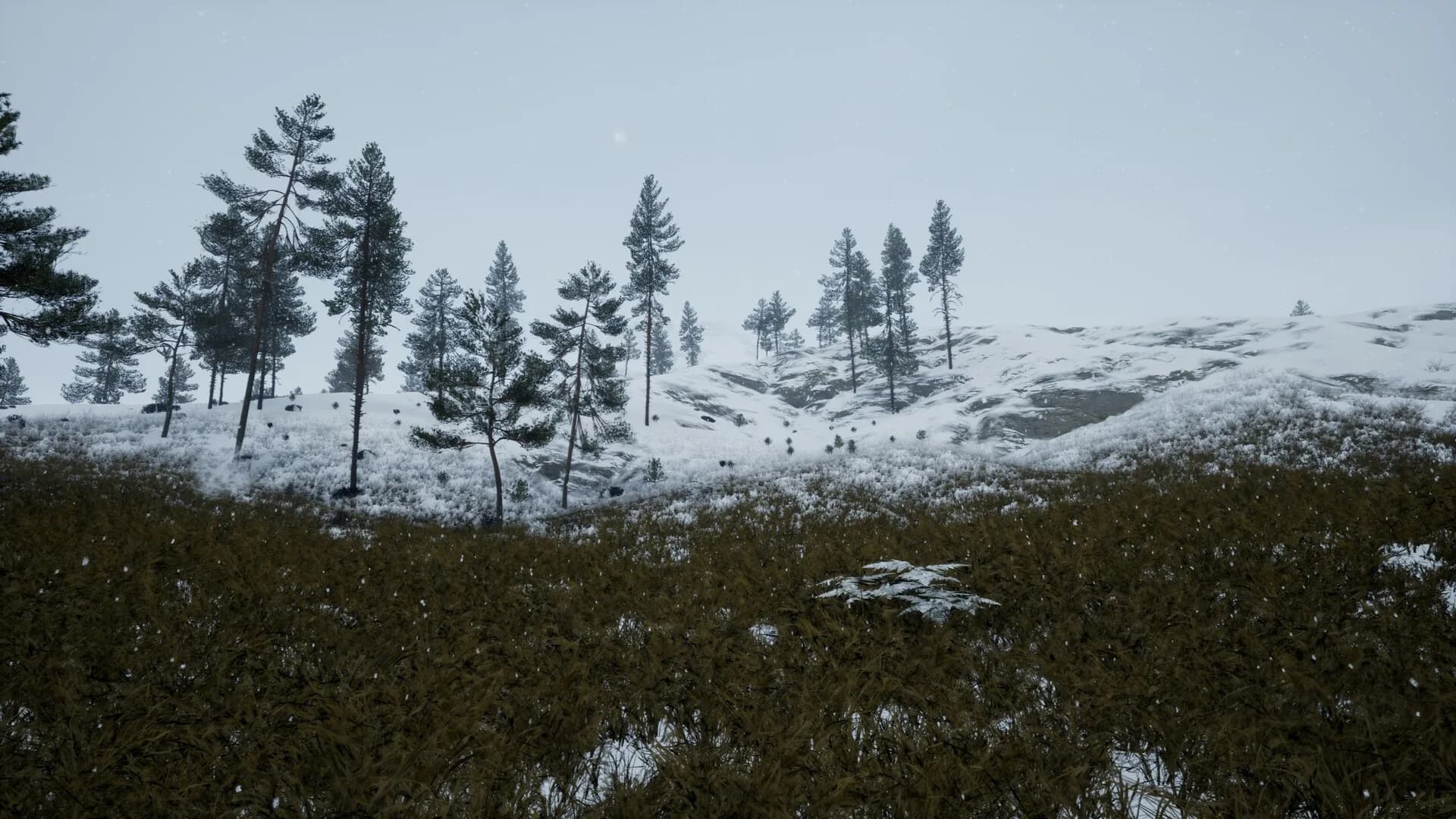 Start Over görsel 9
