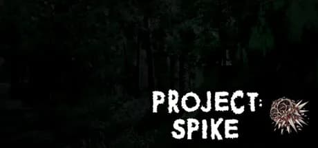 Project: Spike görsel 1