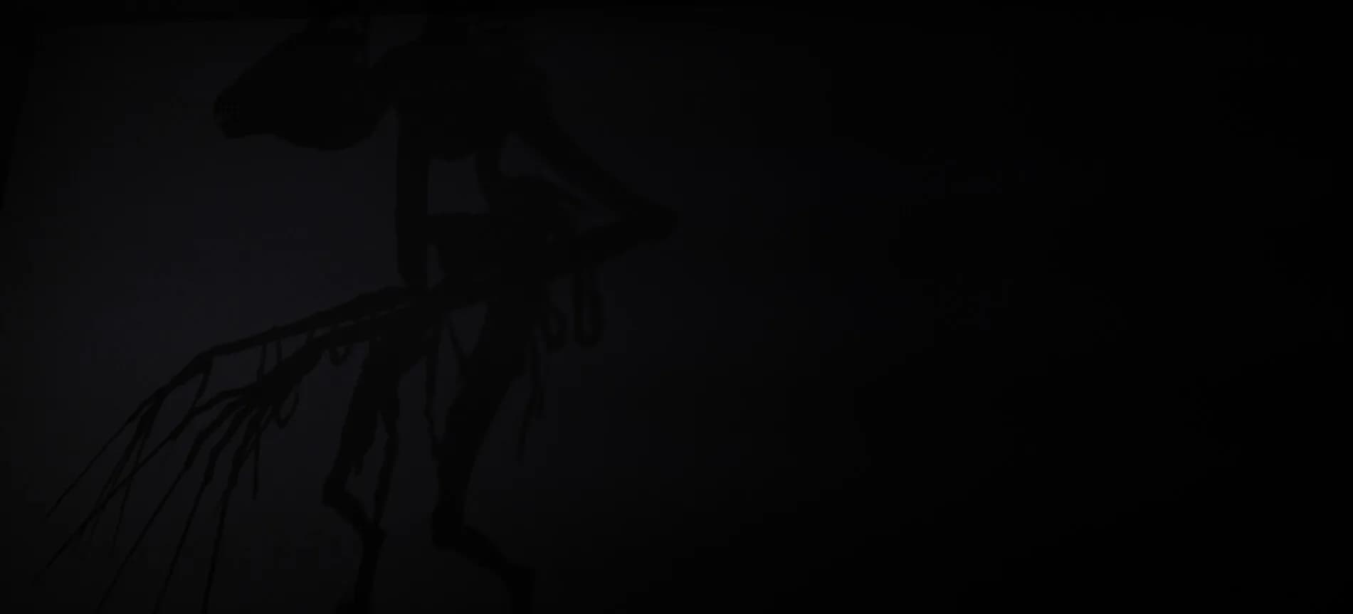 Appearances görsel 7