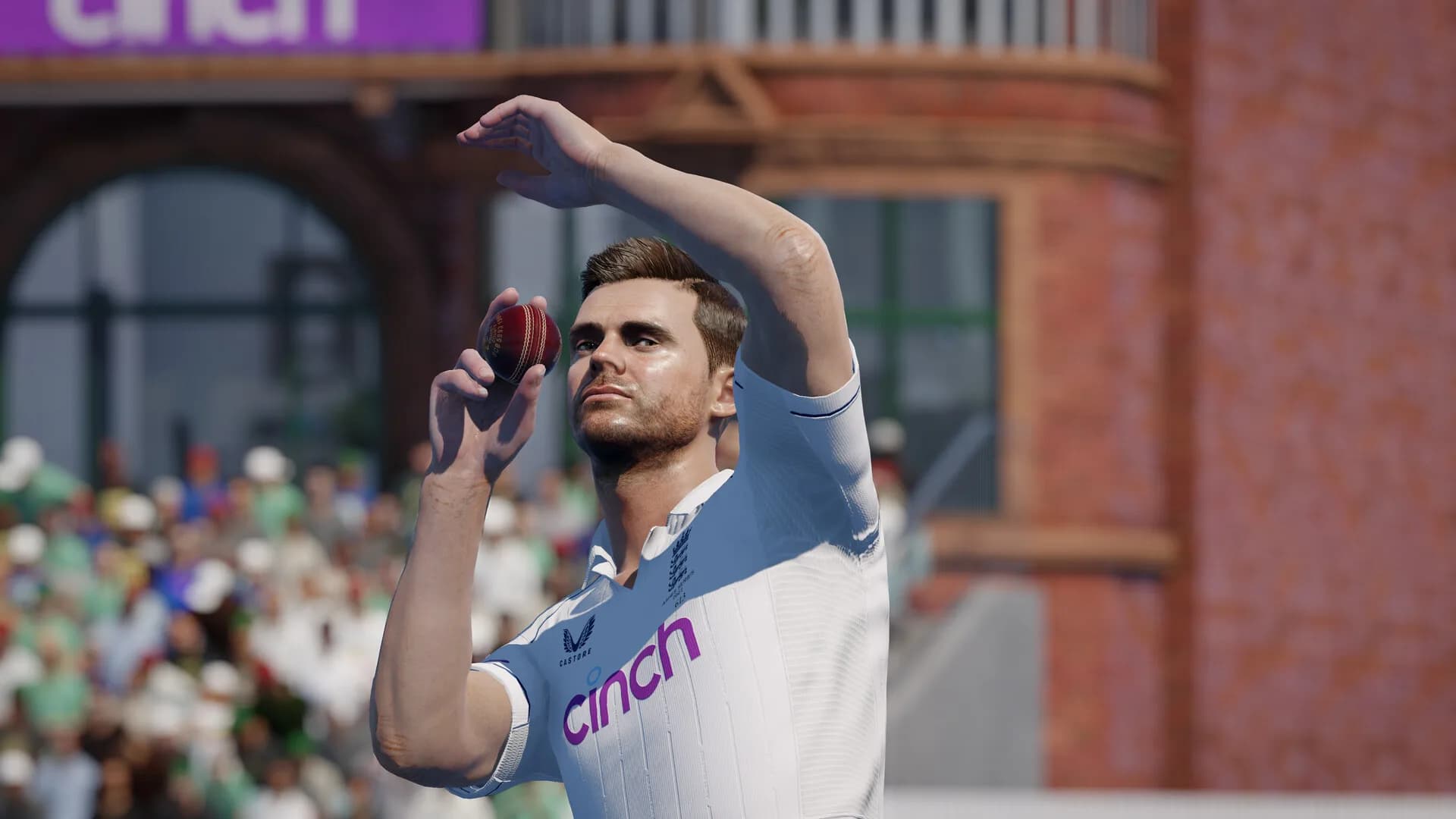Cricket 24 görsel 5