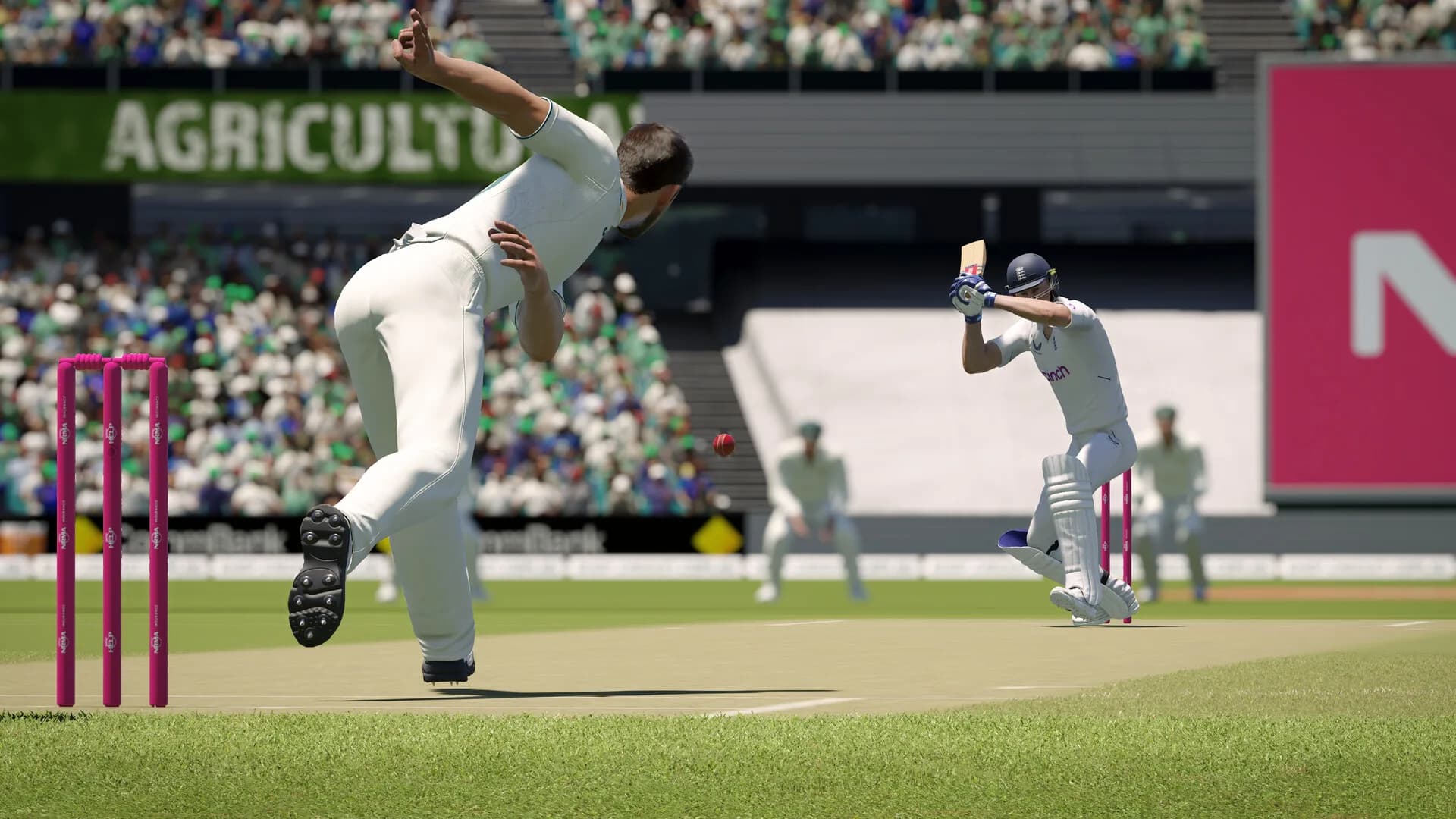Cricket 24 görsel 7