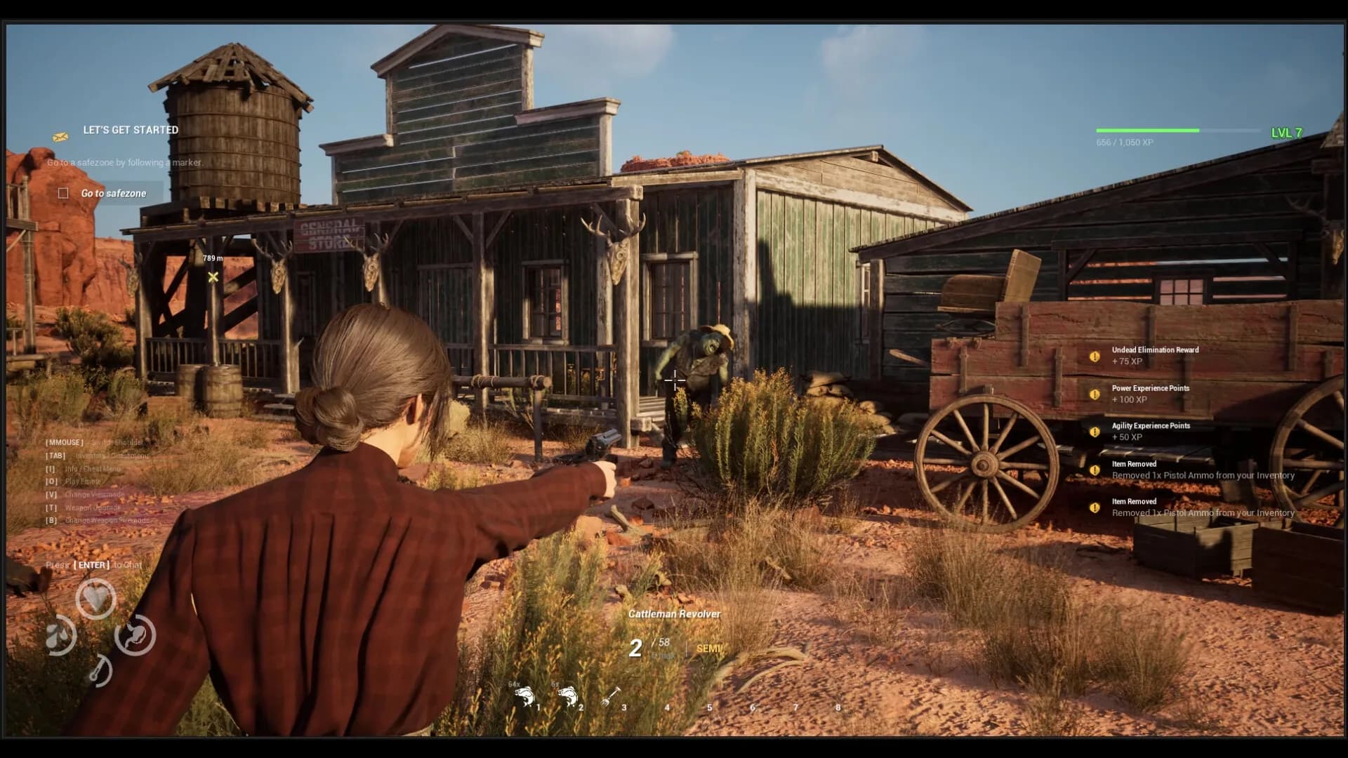 Western Rye görsel 10