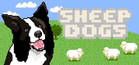 Sheepdogs görsel 1