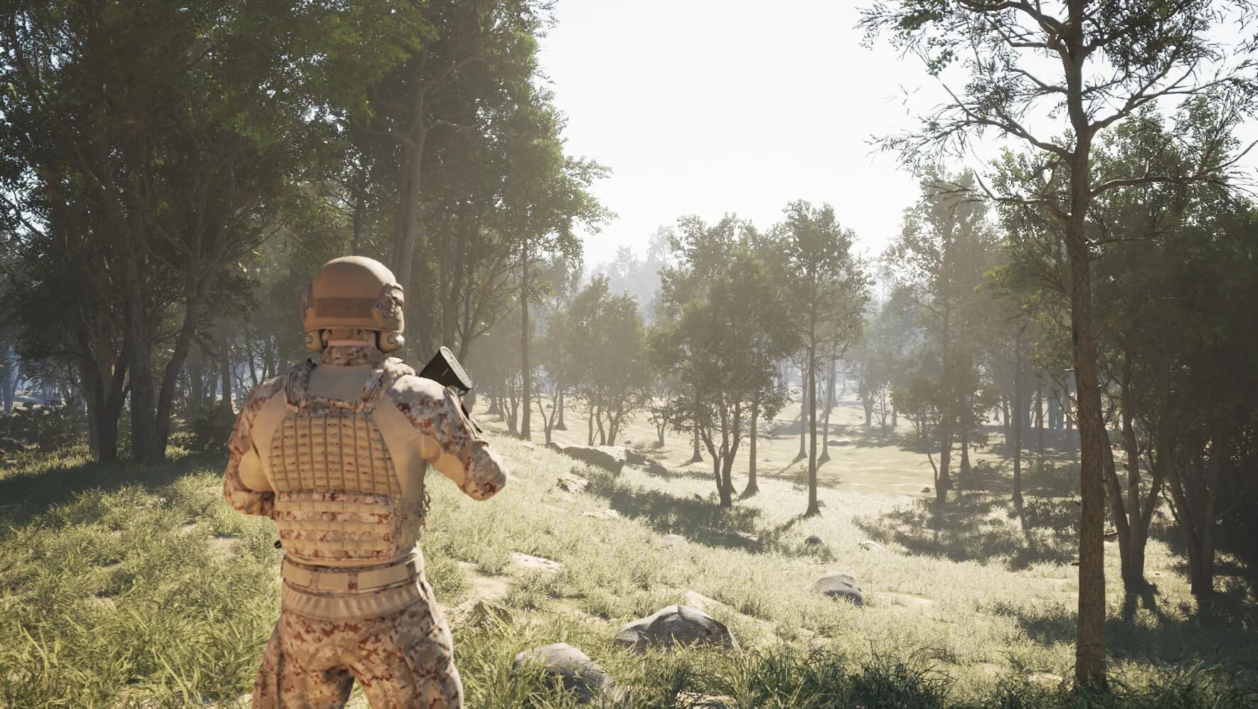 Training and War Simulation (TWS) görsel 2