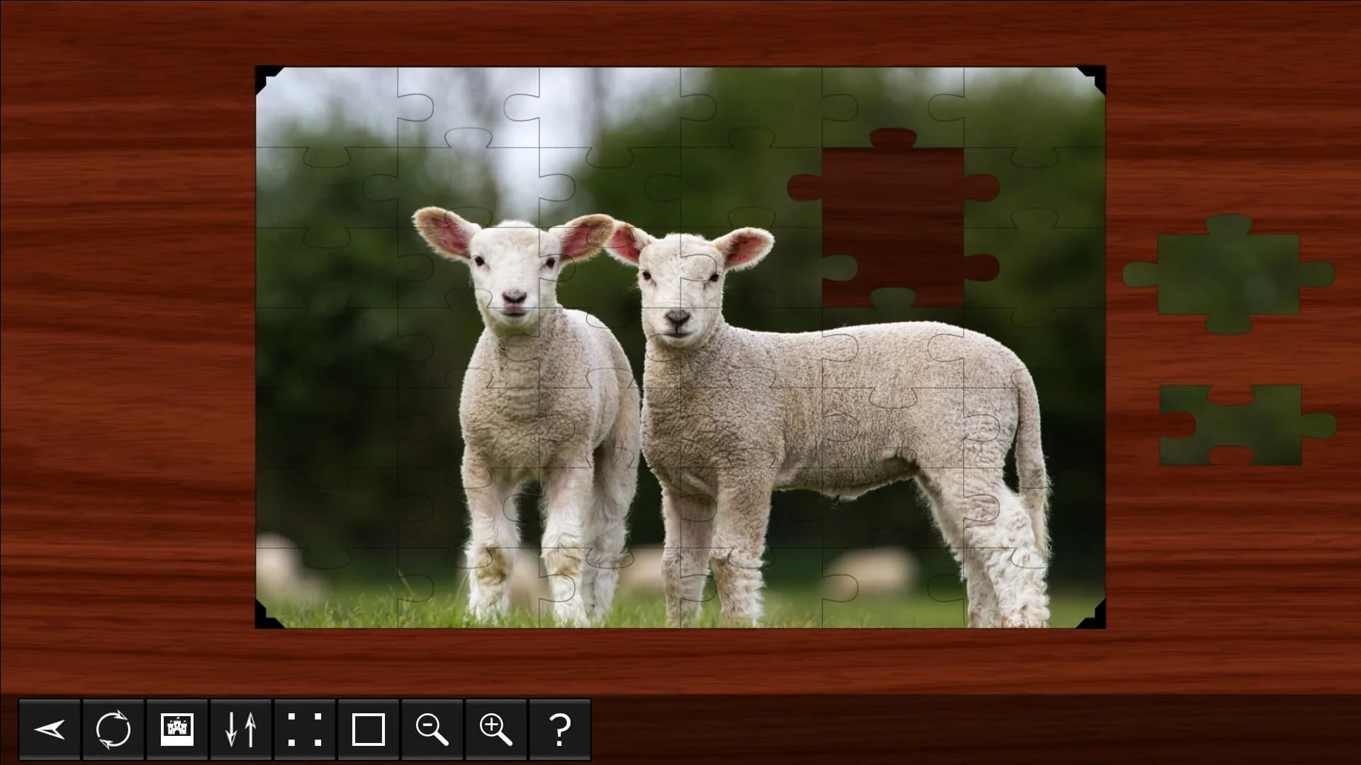 Jigsaw Puzzle World görsel 5
