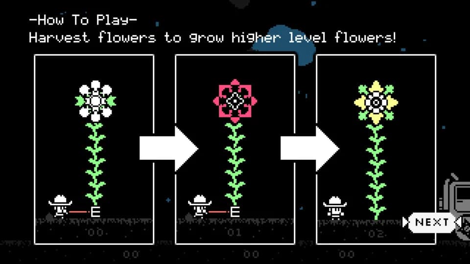 Tuttle: Star Flower Harvest görsel 5