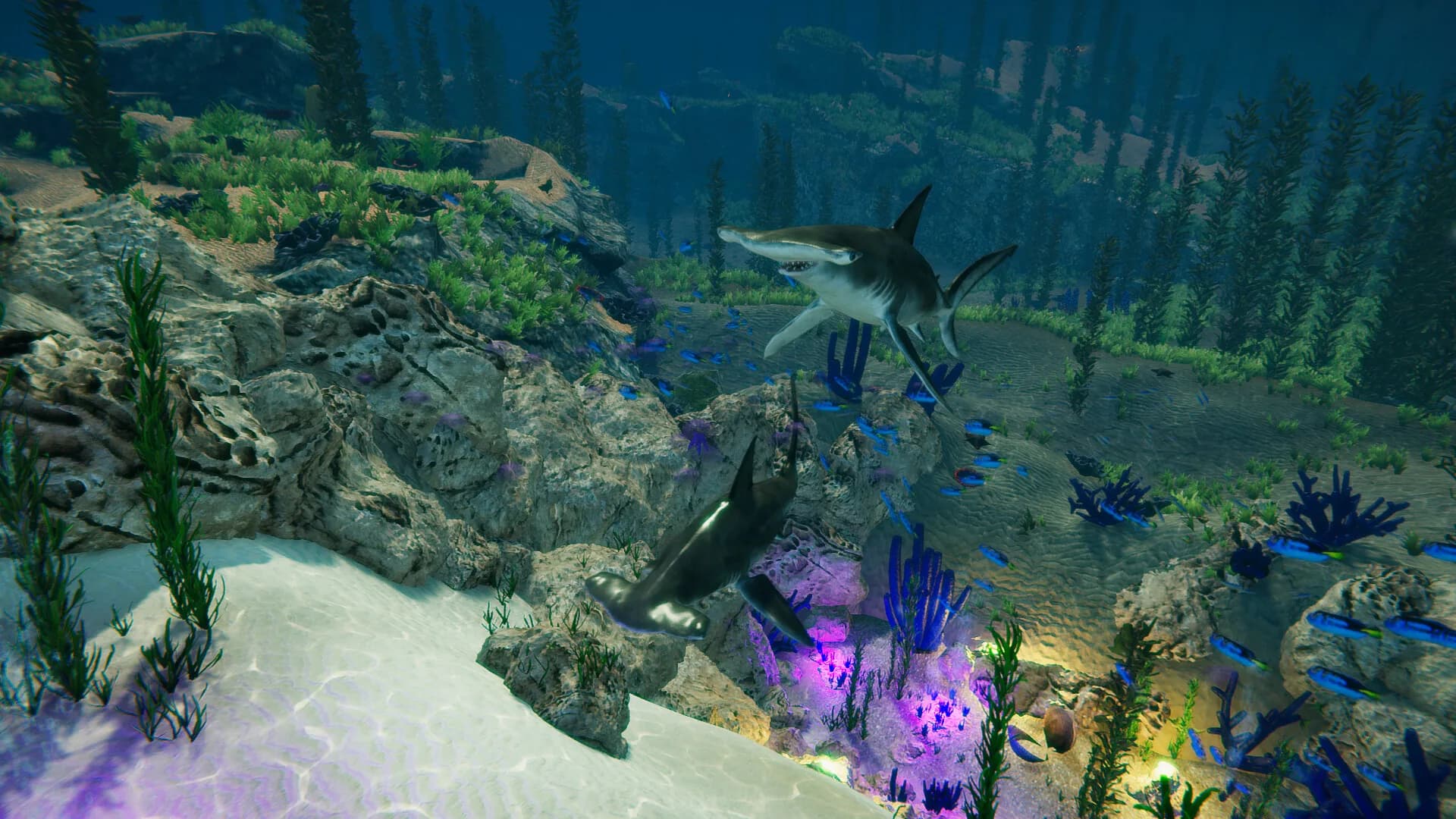 Blue Epic görsel 5