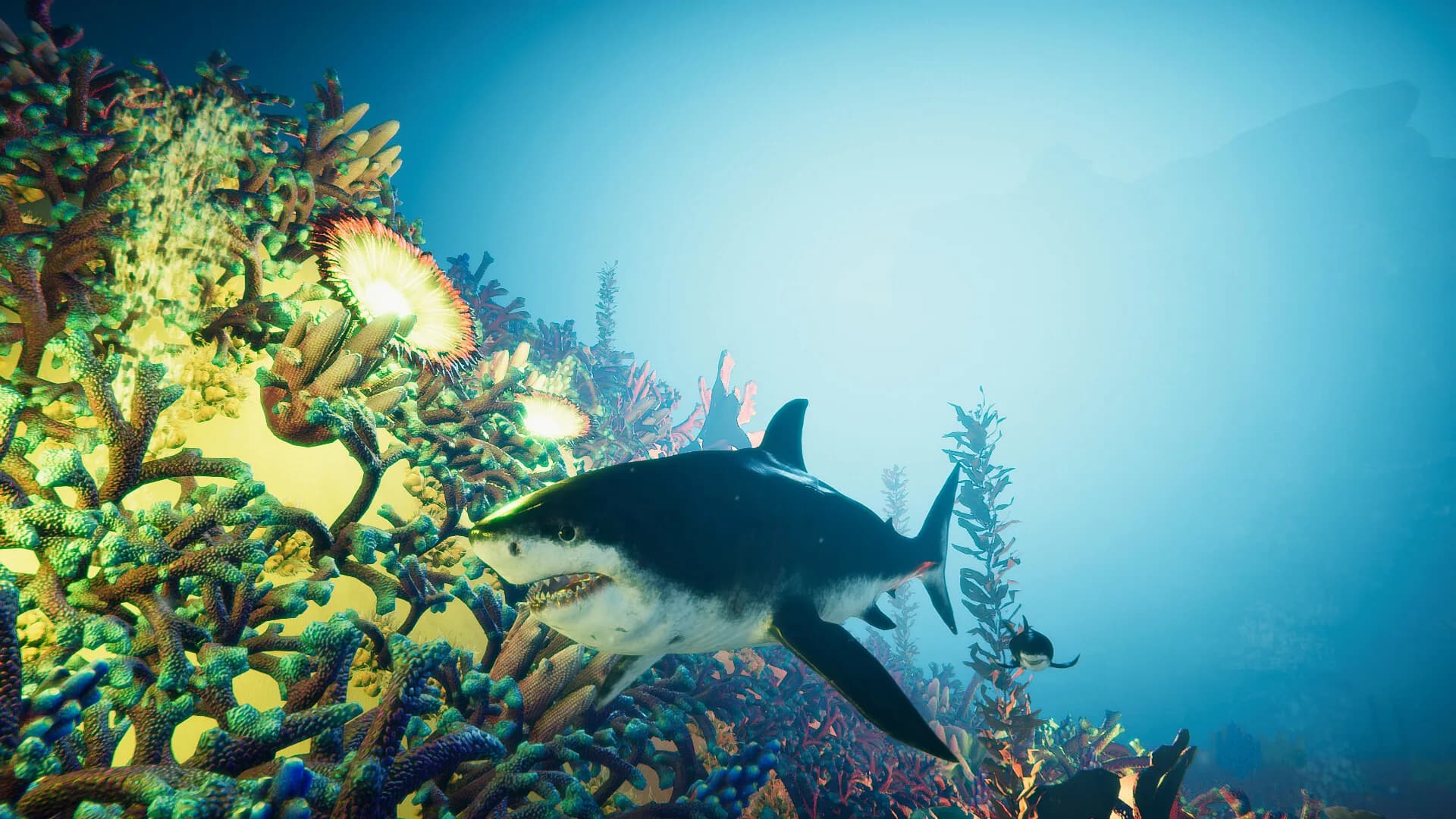 Blue Epic görsel 8